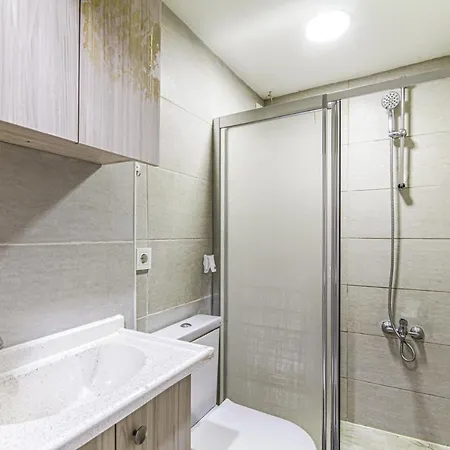 Apartament Fully Furnished And Stylish Flat In Sisli